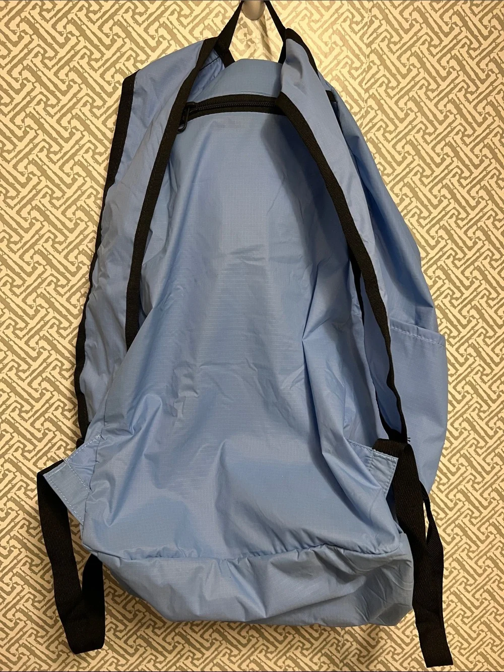 Under Armour Liston 20L Packable Sky Blue Everyday Backpack